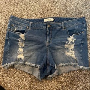 Torrid Denim Shorts